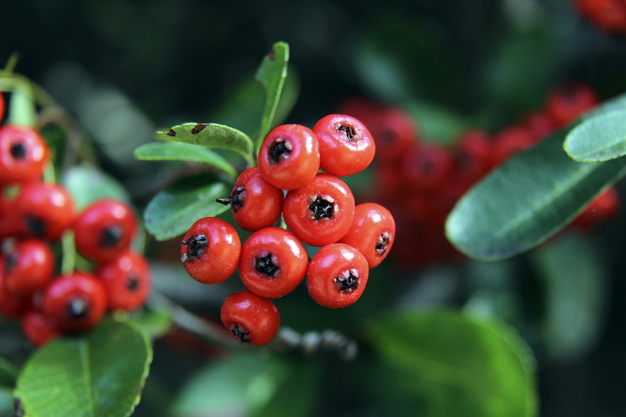 端都有着出 端都有着出