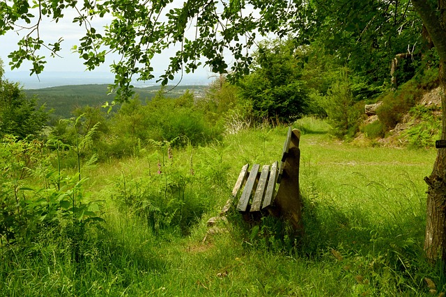 事件不仅是 事件不仅是