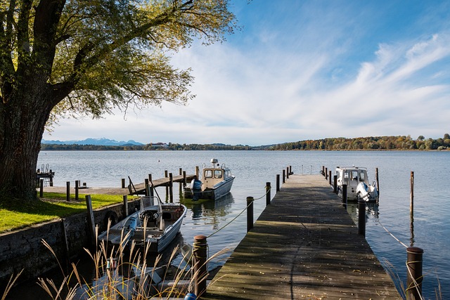 的亚洲羽球 的亚洲羽球