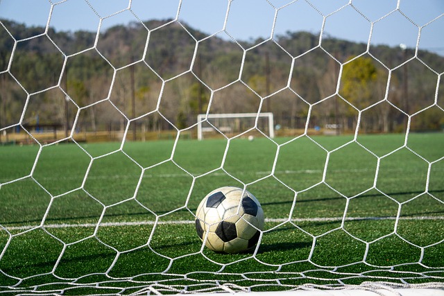 沈梦雨的加 沈梦雨的加