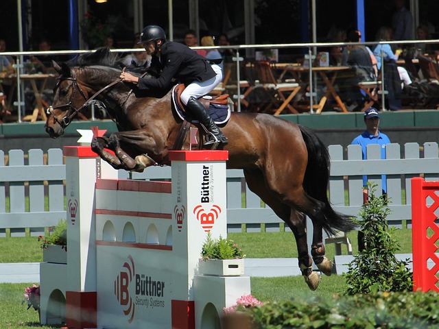 他们不仅通 他们不仅通