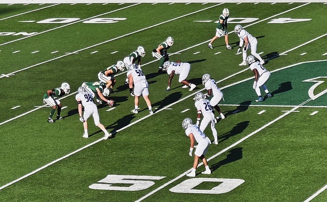 特别是在 特别是在