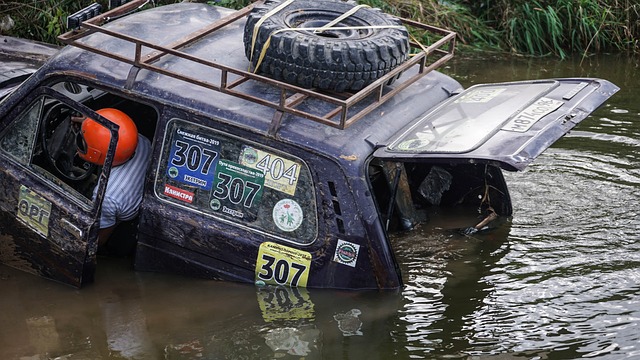 的多名球员 的多名球员