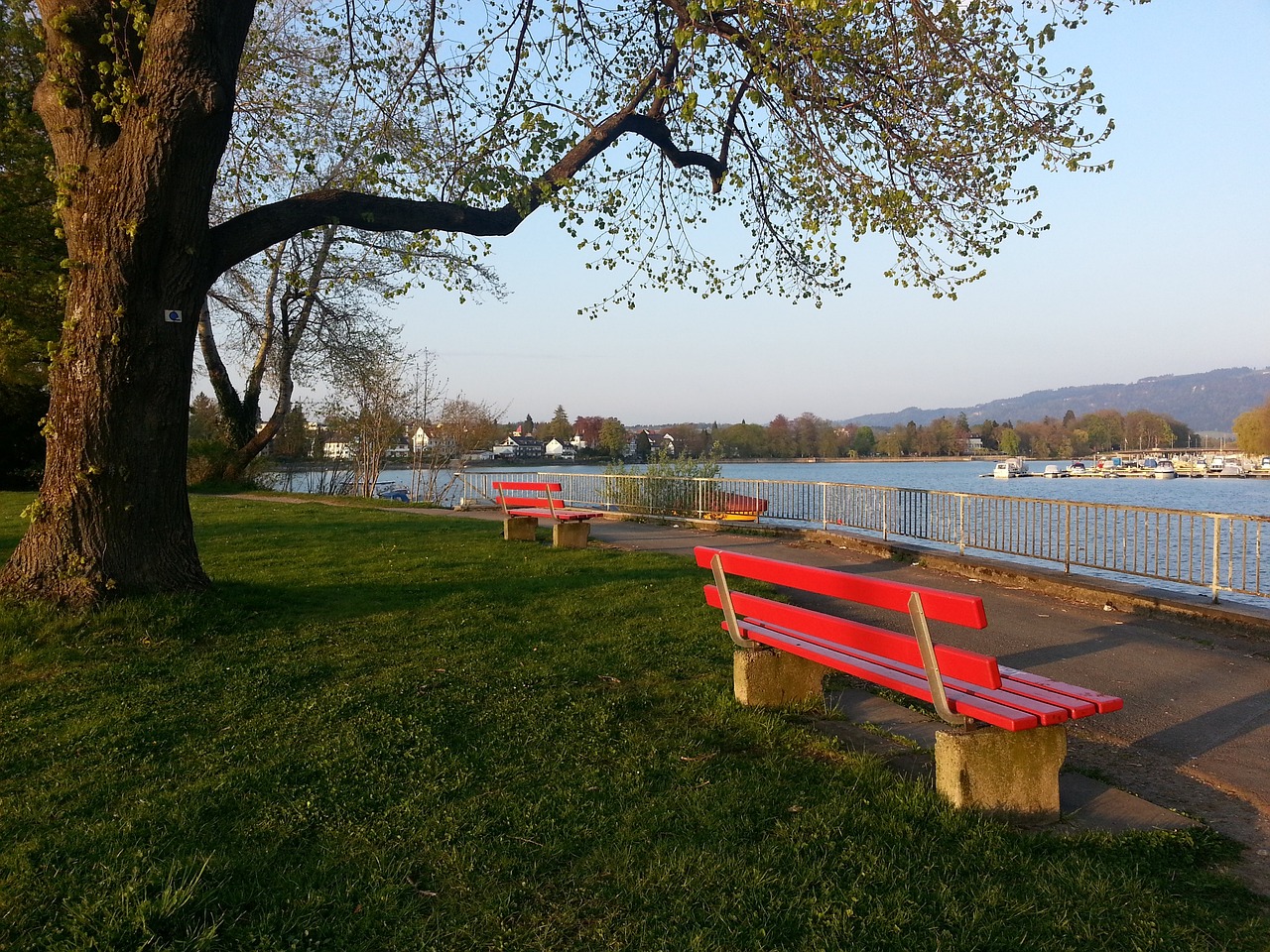 首次因为场 首次因为场